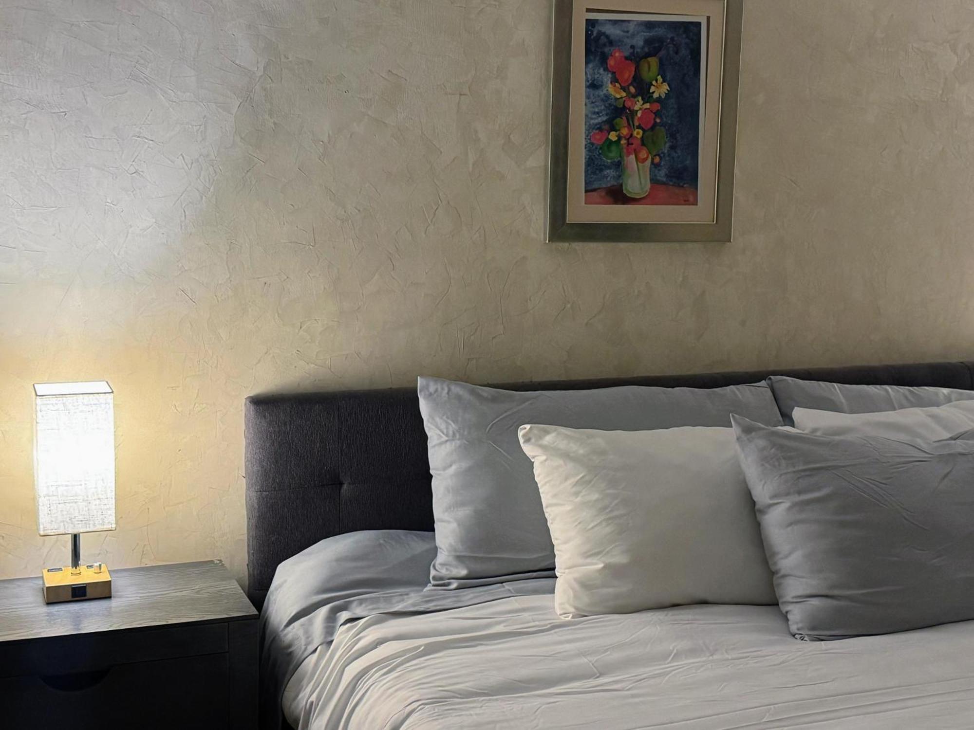 Macarena Guest House San Miguel de Allende Exterior photo